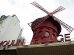 Moulin Rouge, fot. Beata Biela